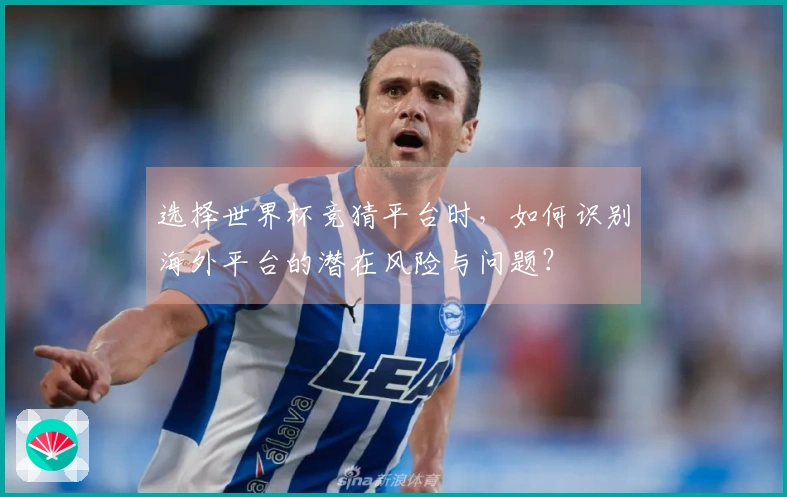 选择世界杯竞猜平台时，如何识别海外平台的潜在风险与问题？