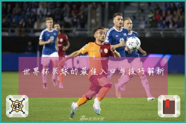 世界杯买球的最佳入口与技巧解析