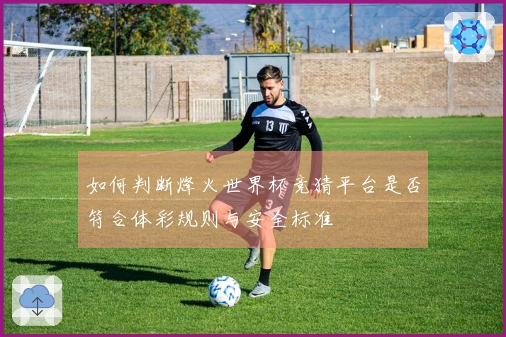 如何判断烽火世界杯竞猜平台是否符合体彩规则与安全标准