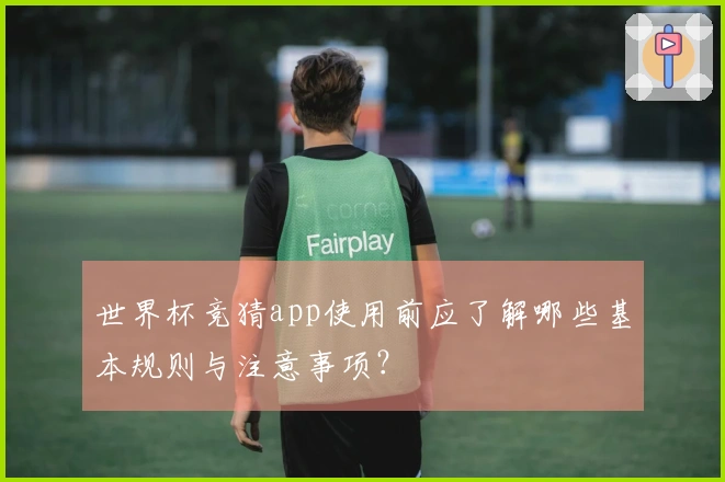 世界杯竞猜app使用前应了解哪些基本规则与注意事项？