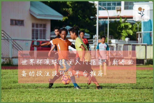 世界杯滚球投注入门指南：新手必备的投注技巧与平台推荐