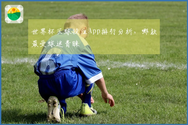 世界杯买球投注App排行分析，哪款最受球迷青睐