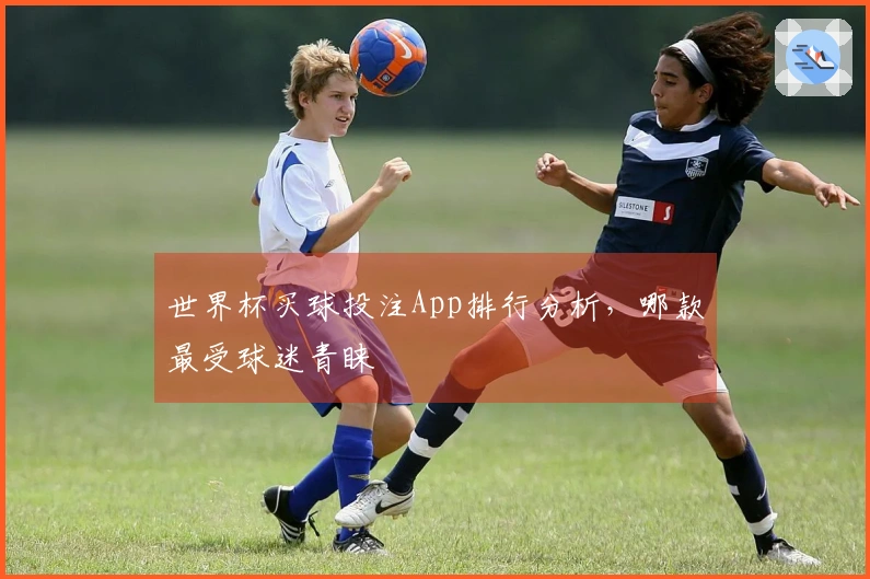 世界杯买球投注App排行分析，哪款最受球迷青睐